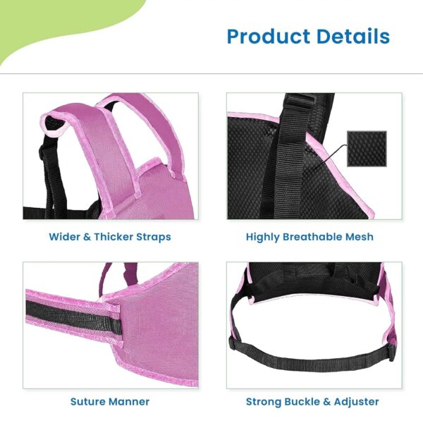 Sujetador Ninos Para Moto