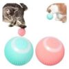 Pelota Recargable Para Mascota X2